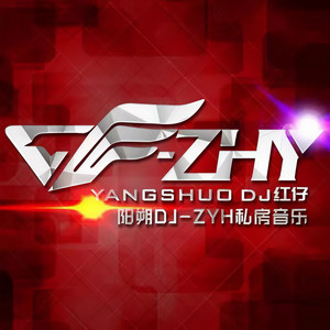 阳朔DJ-ZYH
