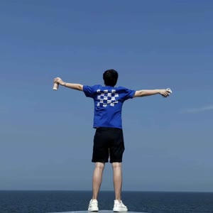 陶安平