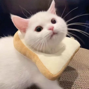 心越