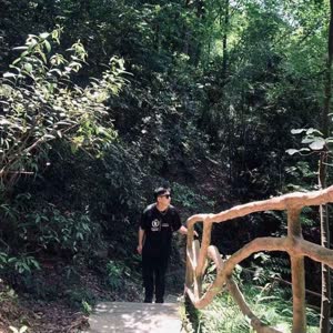 天倚