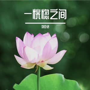 刘臣铭