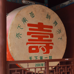 歇斯底里的青青