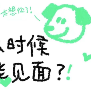 柚子三颗柠檬树