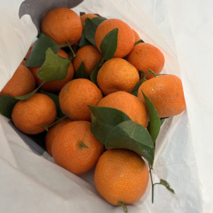 飞翔的天空与星星