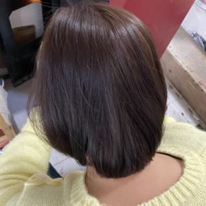 莎莎呀520
