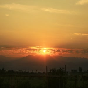 语烟