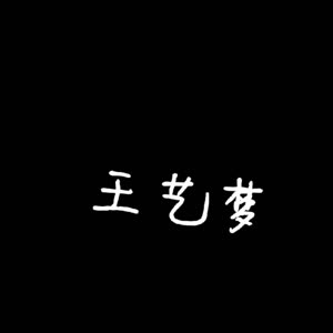 王艺梦