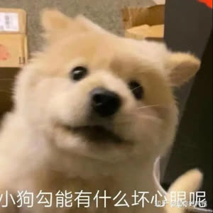 李诗卿
