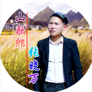 张晓万