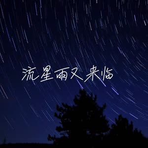 魏晨晨
